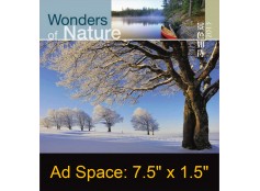 Desk Calendar DC21